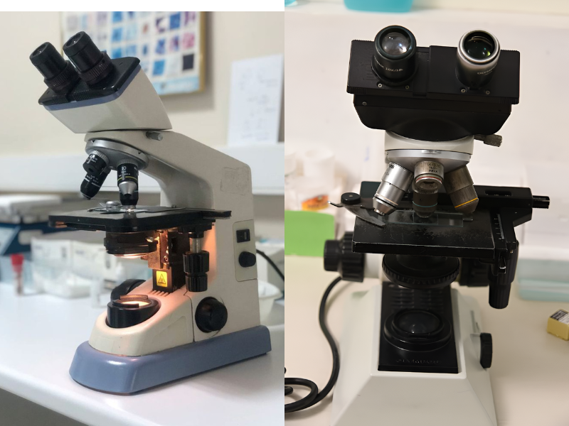 Deepaa Micro Lab Namakkal, Diagnostic Lab in Namakkal, Pathology Lab in ...